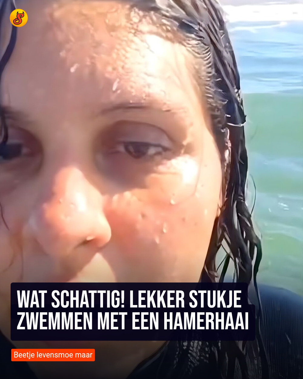 Wat schattig! Lekker stukje zwemmen met een hamerhaai