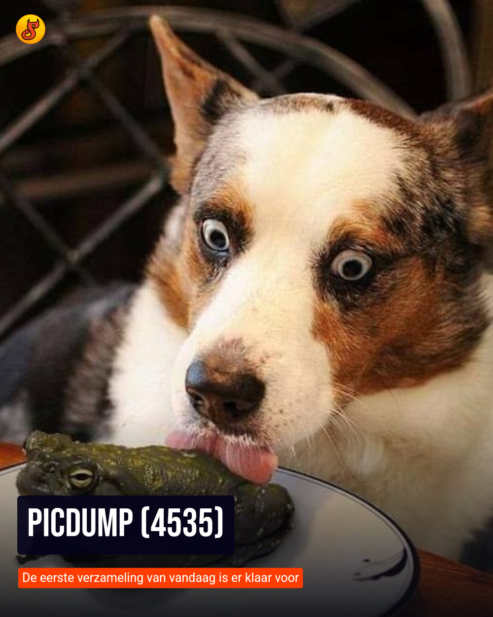 Picdump (4535)