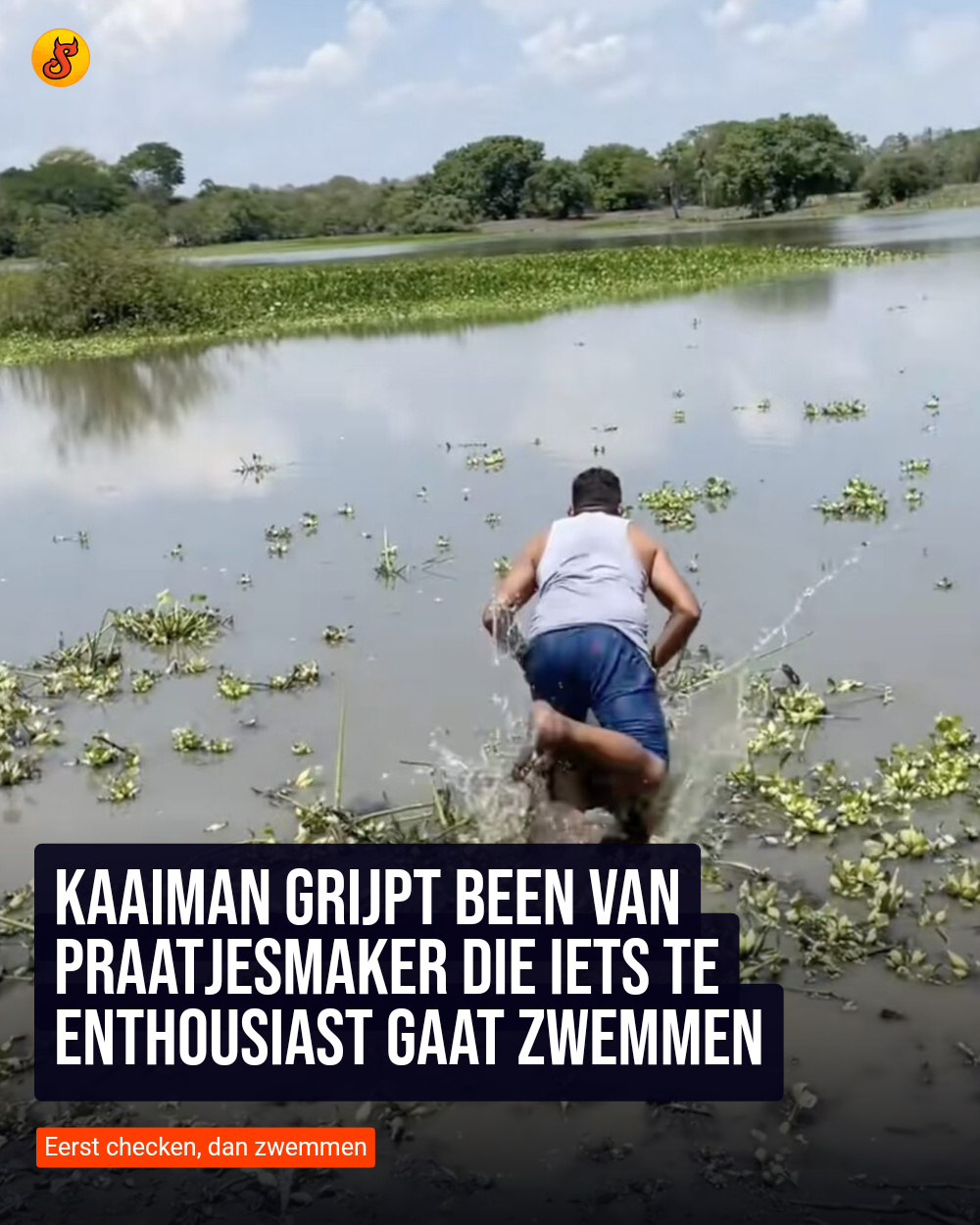 Kaaiman grijpt been van praatjesmaker die iets te enthousiast gaat zwemmen