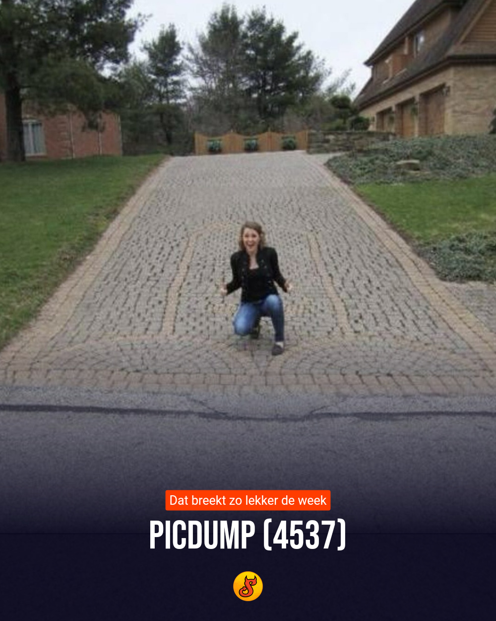 Picdump (4537)