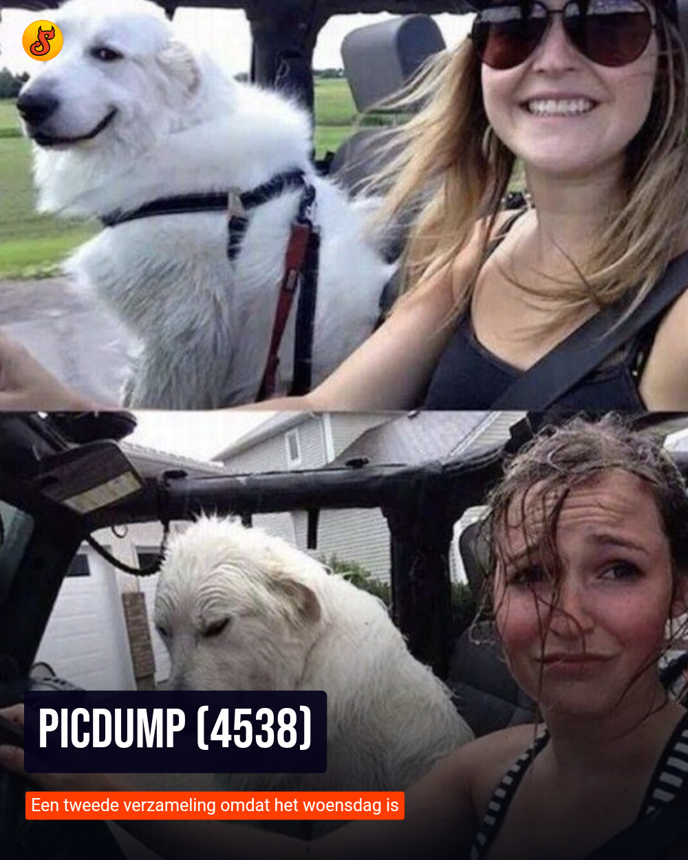 Picdump (4538)