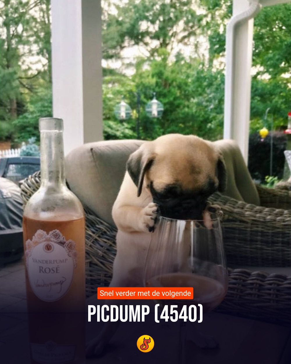 Picdump (4540)