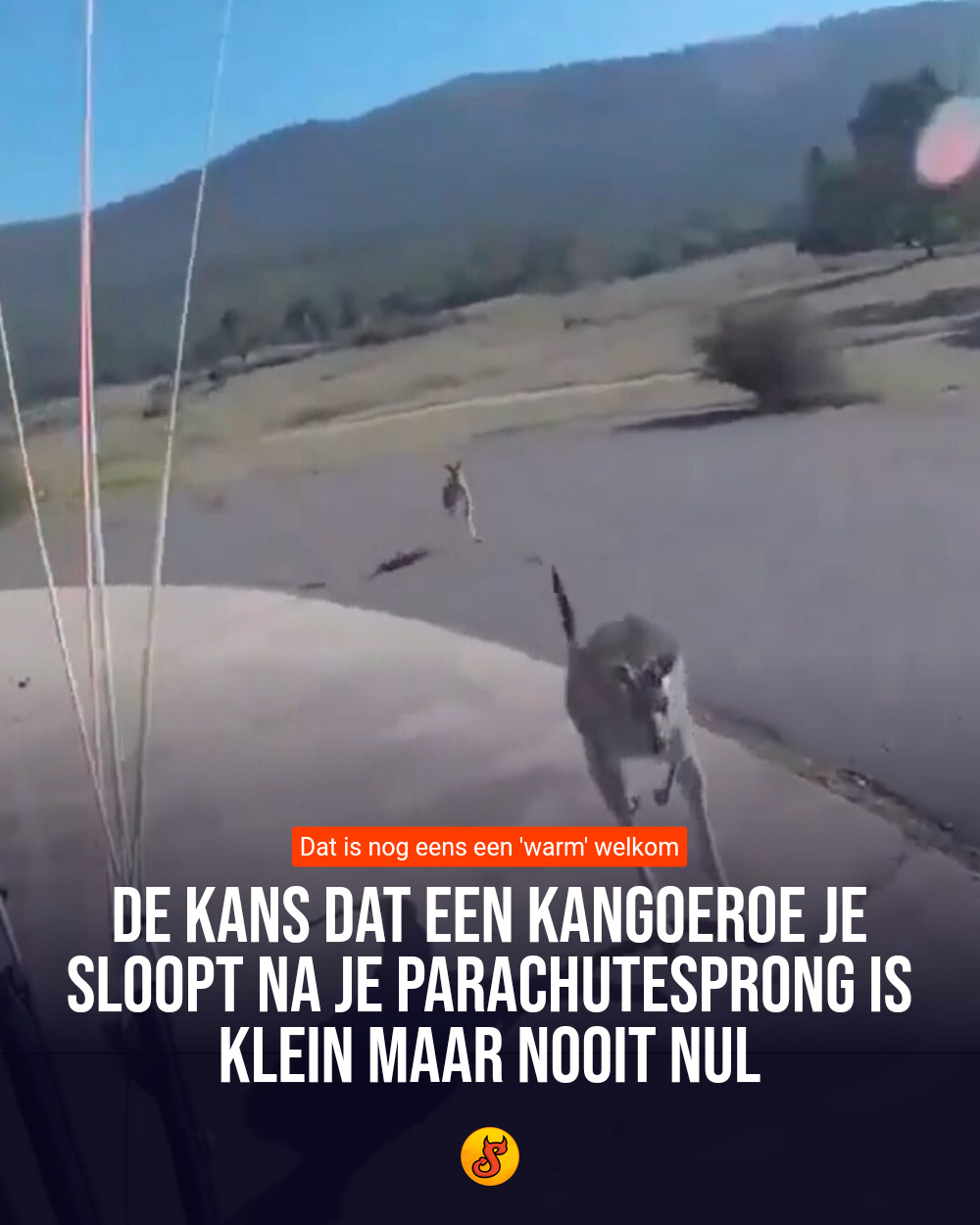 De kans dat een kangoeroe je sloopt na je parachutesprong is klein maar nooit nul