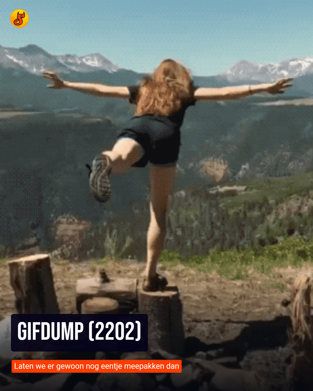 Gifdump (2202)