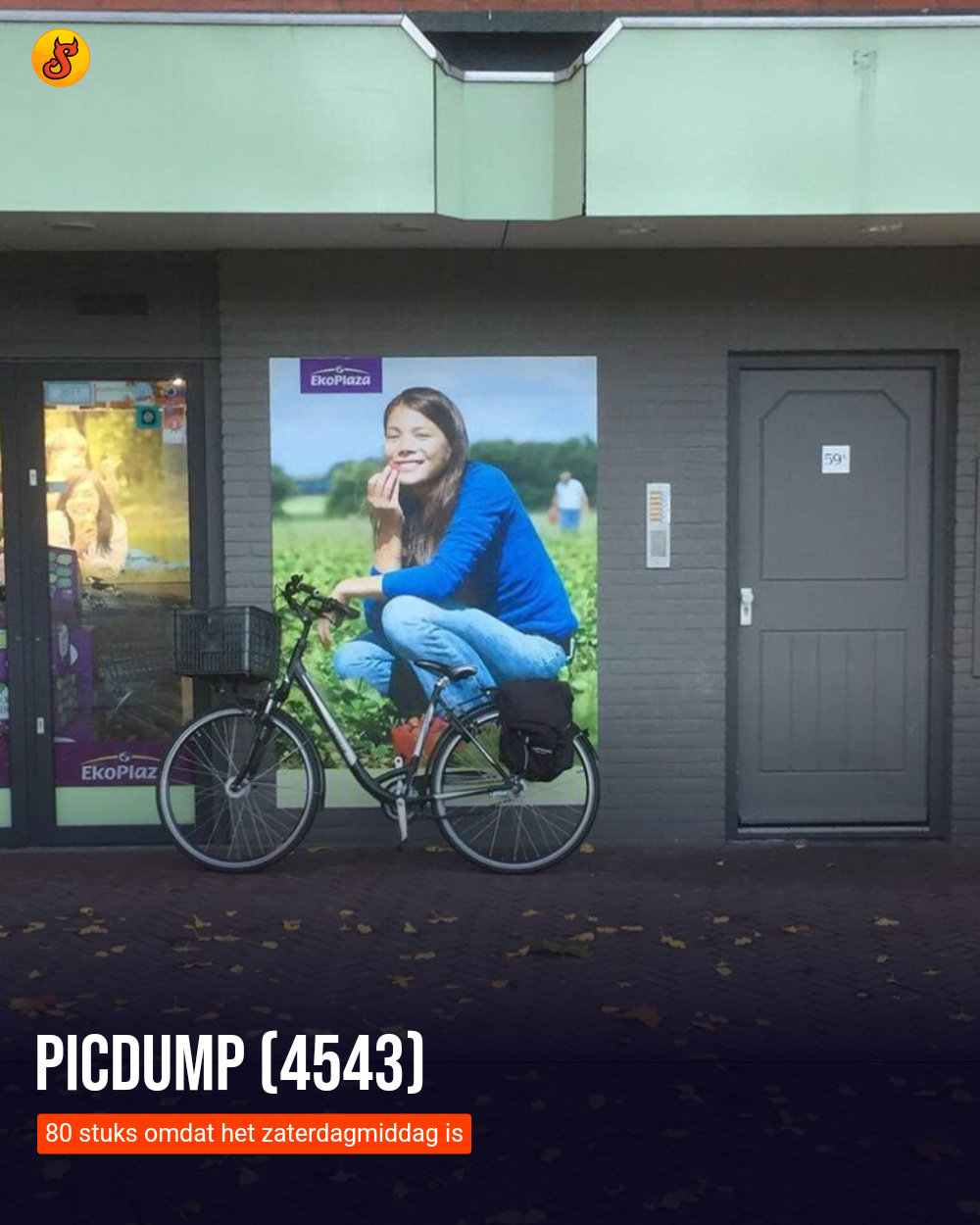 Picdump (4543)