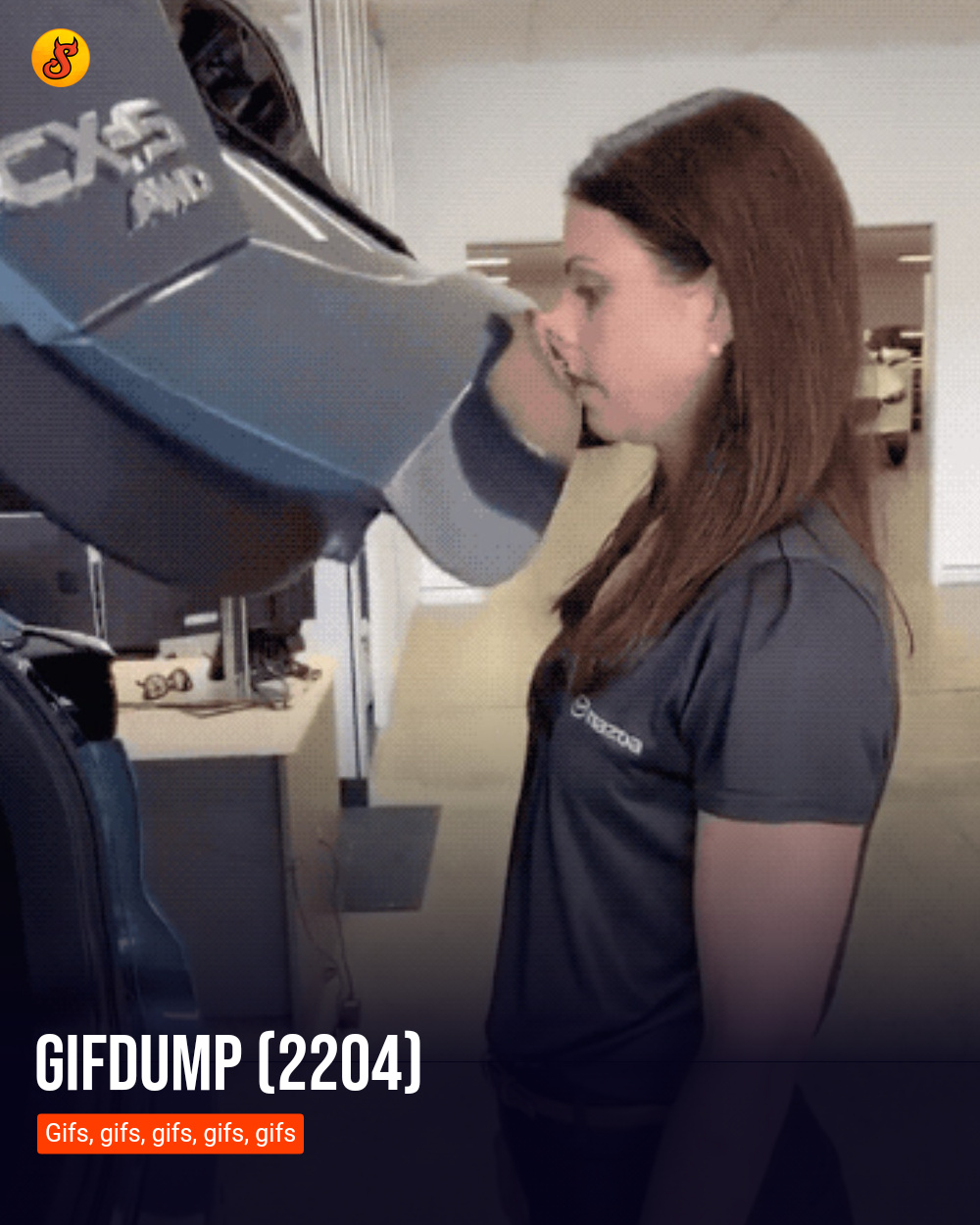 Gifdump (2204)