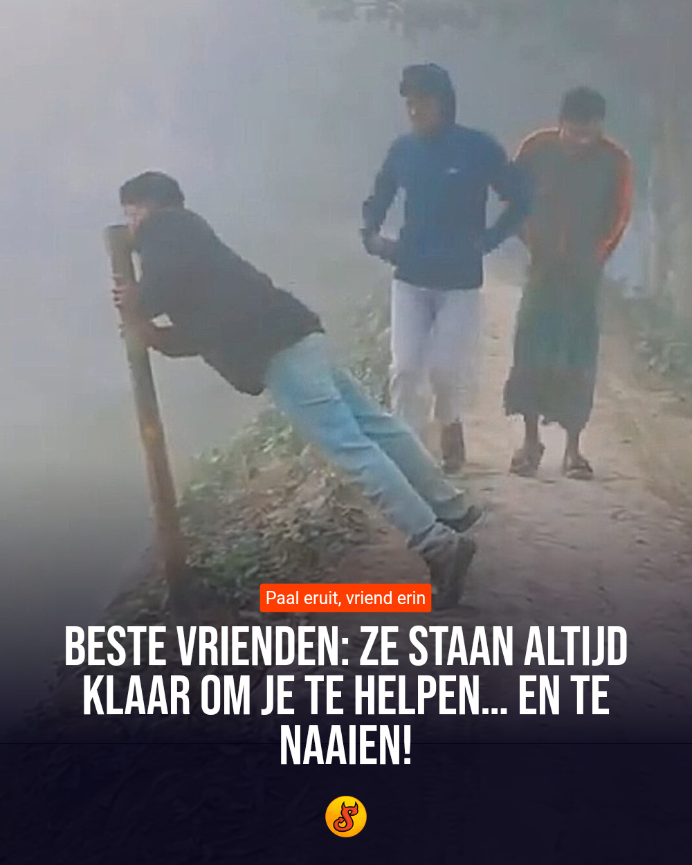 Beste vrienden: Ze staan altijd klaar om je te helpen… en te naaien!