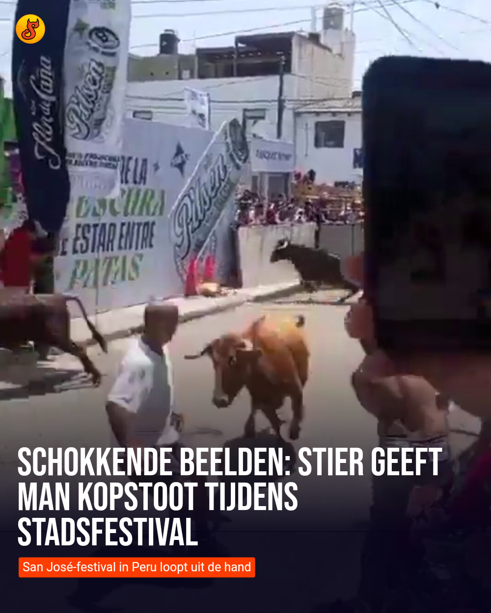 Schokkende beelden: Stier geeft man kopstoot tijdens stadsfestival