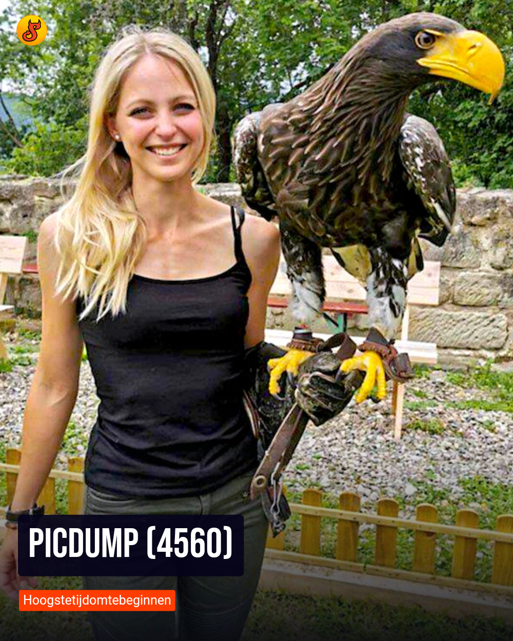 Picdump (4560)