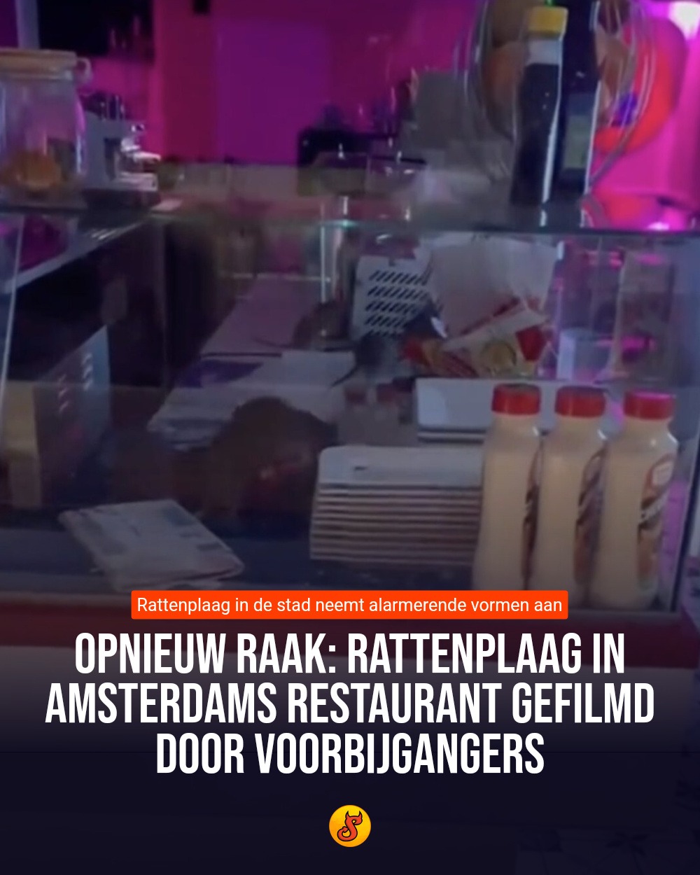 Opnieuw raak: Rattenplaag in Amsterdams restaurant gefilmd door voorbijgangers
