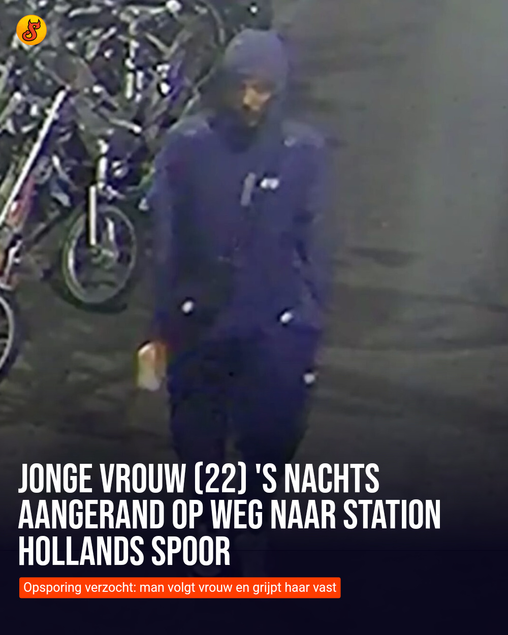 Jonge vrouw (22) 's nachts aangerand op weg naar station Hollands Spoor