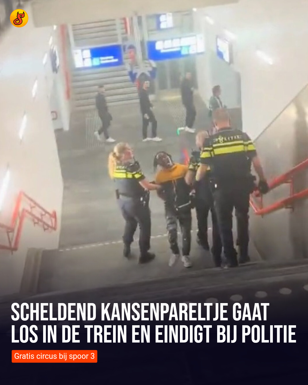 Scheldend kansenpareltje gaat los in de trein en eindigt bij politie