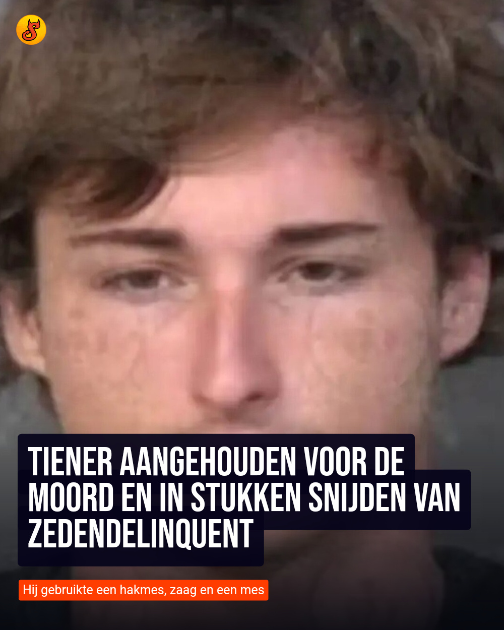 Tiener aangehouden voor de moord en in stukken snijden van zedendelinquent