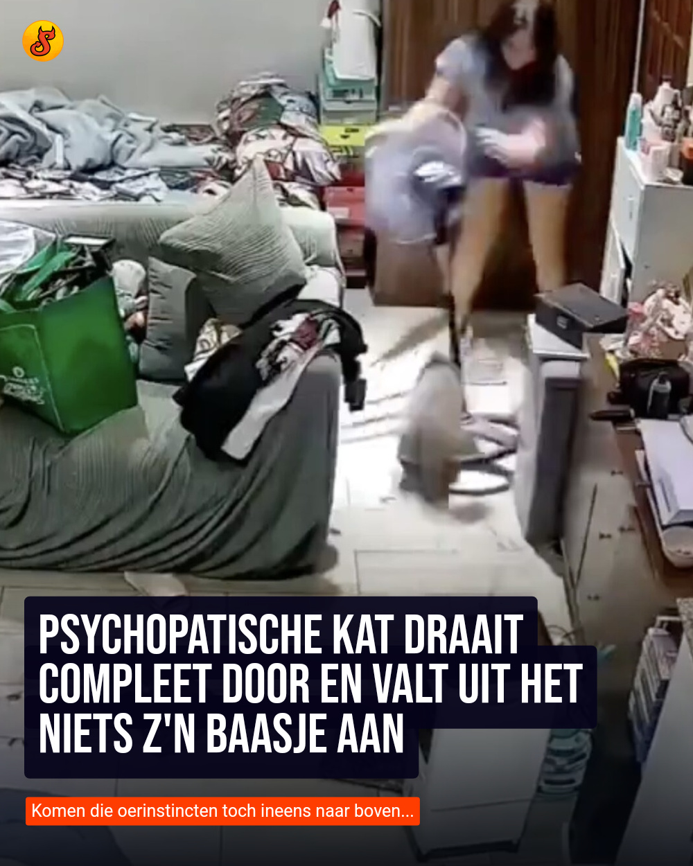 Psychopatische kat draait compleet door en valt uit het niets z'n baasje aan