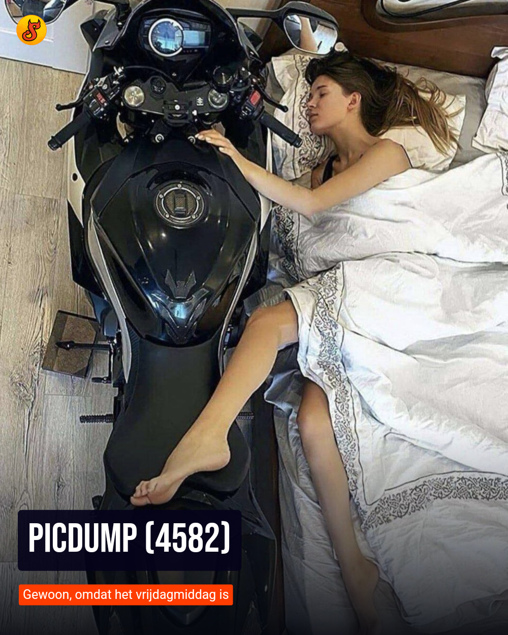 Picdump (4582)