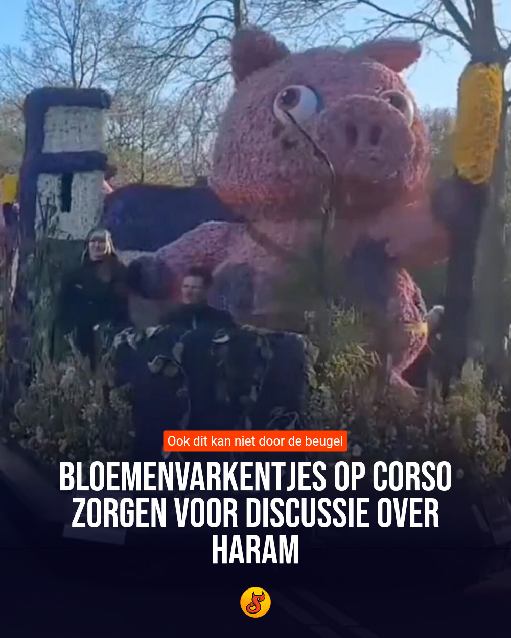 Bloemenvarkentjes op corso zorgen voor discussie over haram