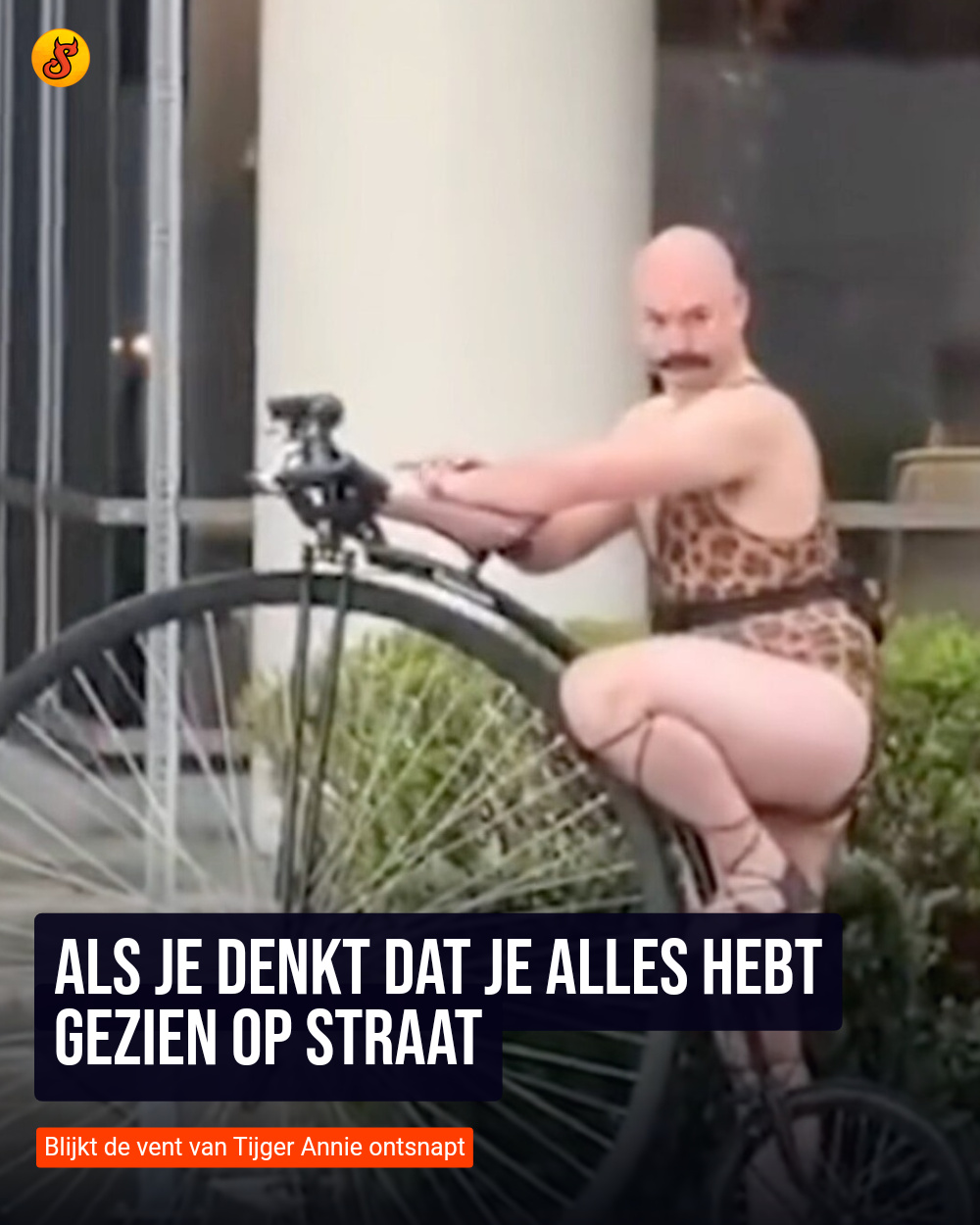 Als je denkt dat je alles hebt gezien op straat