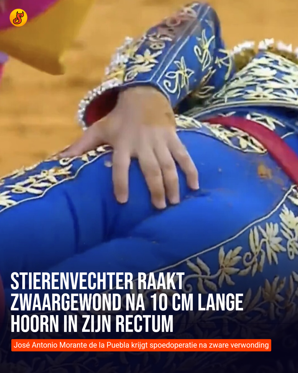 Stierenvechter raakt zwaargewond na 10 cm lange hoorn in zijn rectum