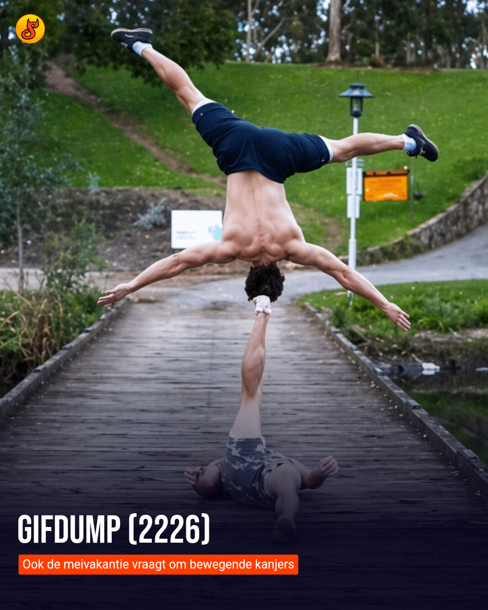 Gifdump (2226)