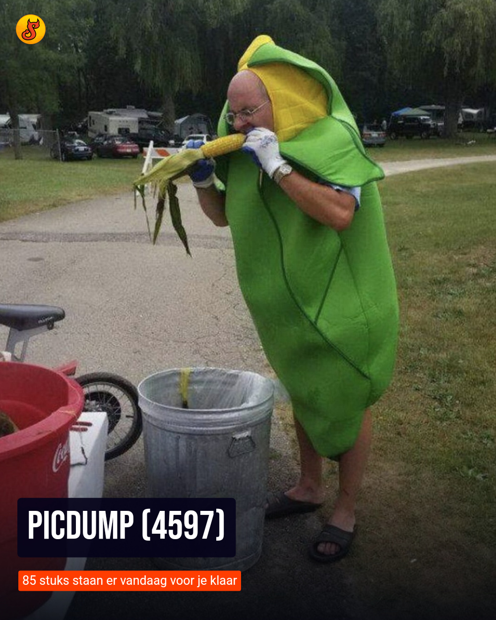 Picdump (4597)