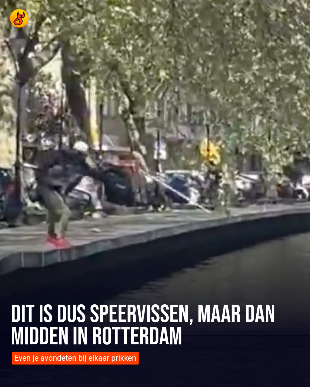 Dit is dus speervissen, maar dan midden in Rotterdam