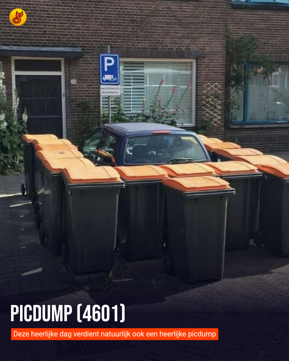 Picdump (4601)