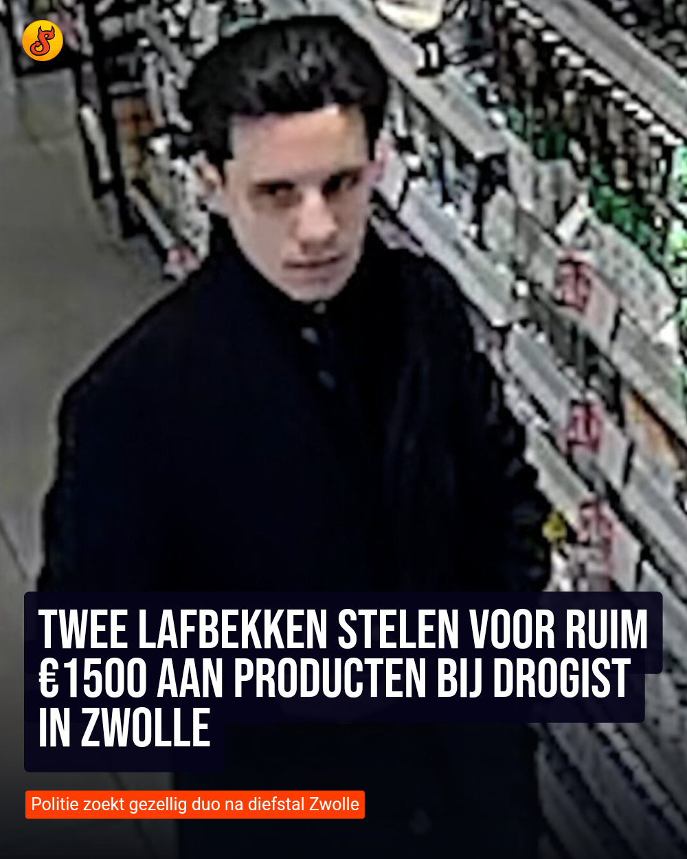 Twee lafbekken stelen voor ruim €1500 aan producten bij drogist in Zwolle