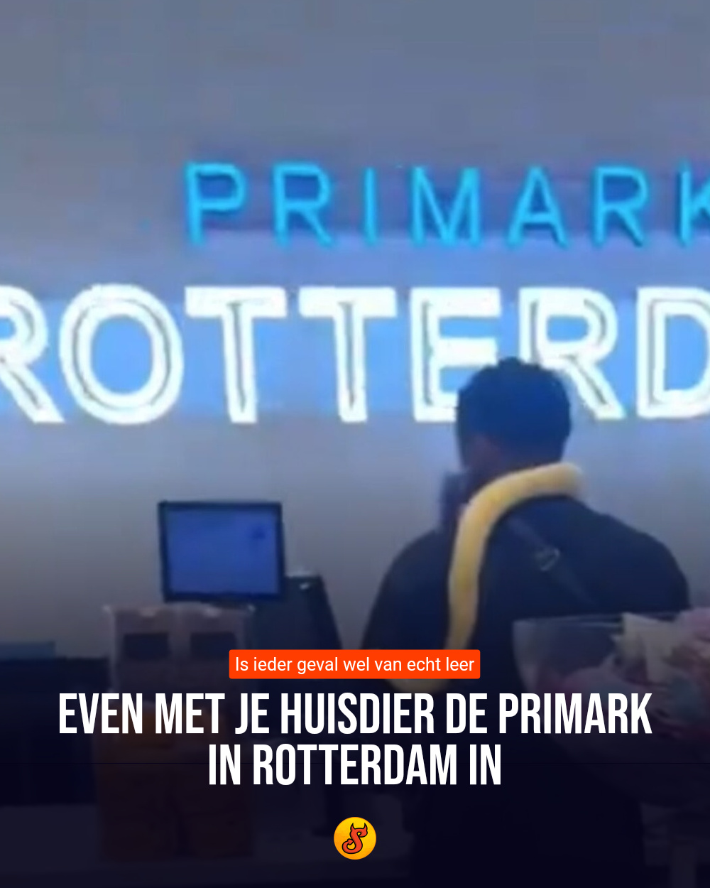 Even met je huisdier de Primark in Rotterdam in