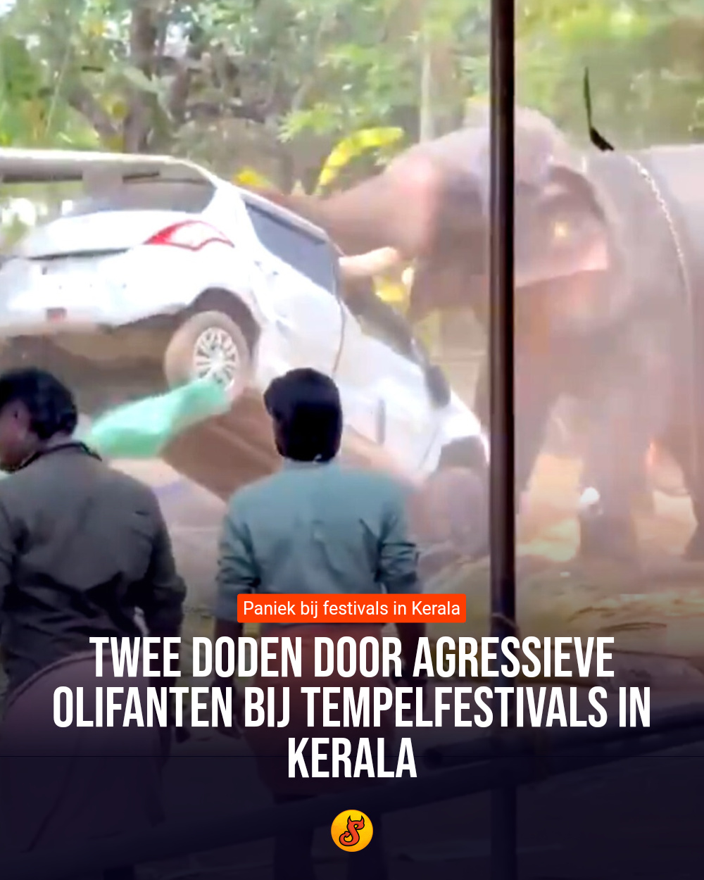 Twee doden door agressieve olifanten bij tempelfestivals in Kerala