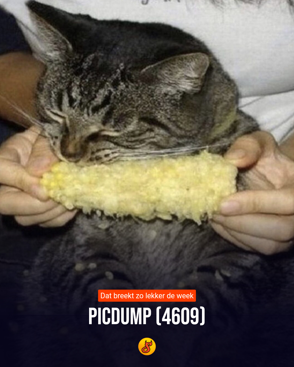 Picdump (4609)