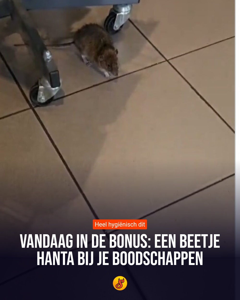 Vandaag in de Bonus: Een beetje Hanta bij je boodschappen