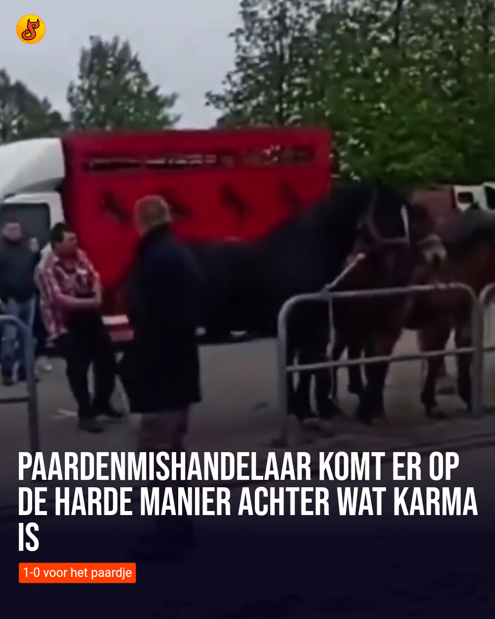 Paardenmishandelaar komt er op de harde manier achter wat karma is