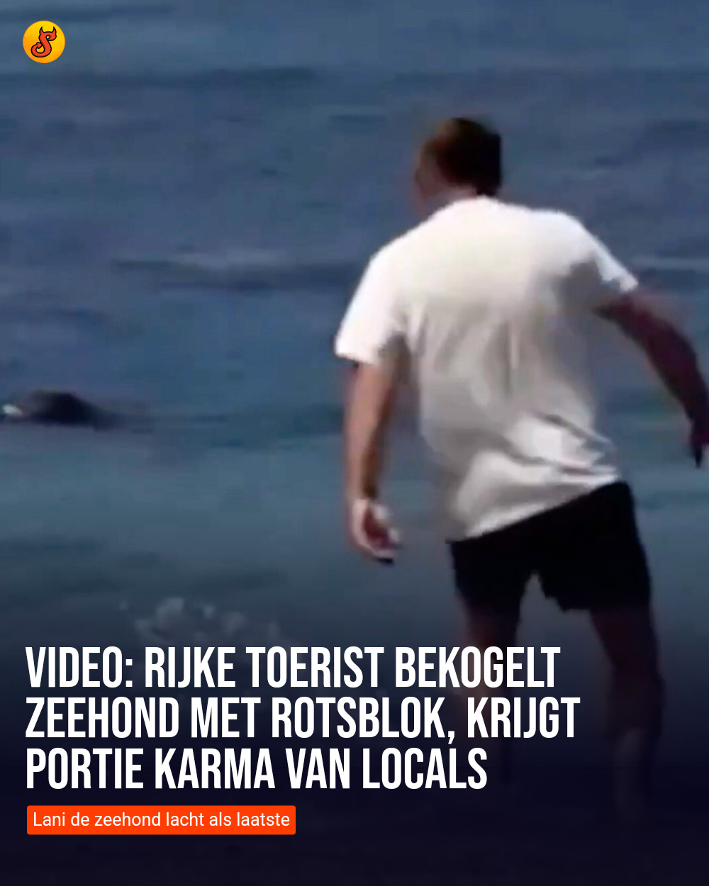 Video: Rijke toerist bekogelt zeehond met rotsblok, krijgt portie karma van locals