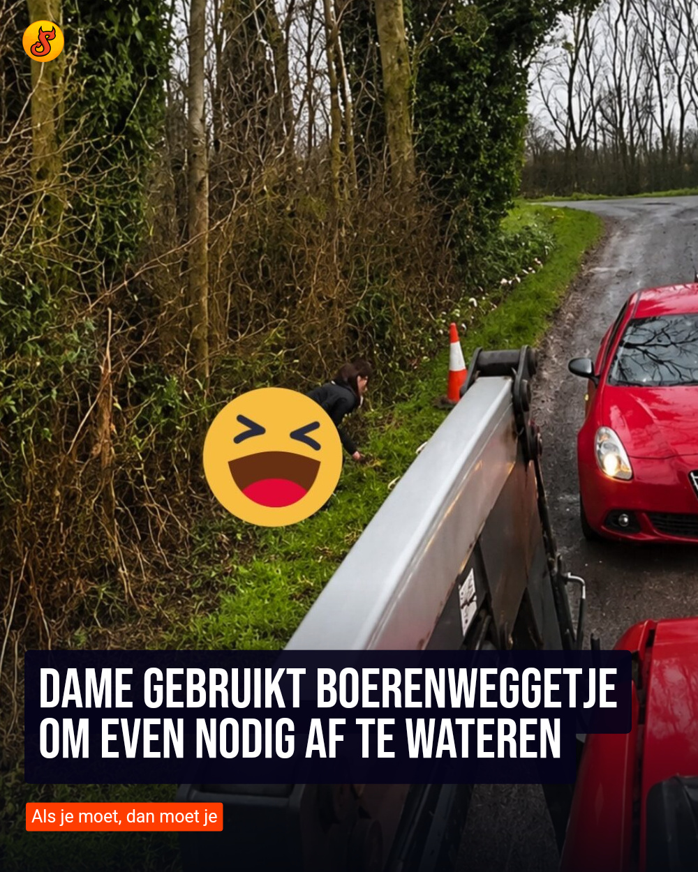 Dame gebruikt boerenweggetje om even nodig af te wateren