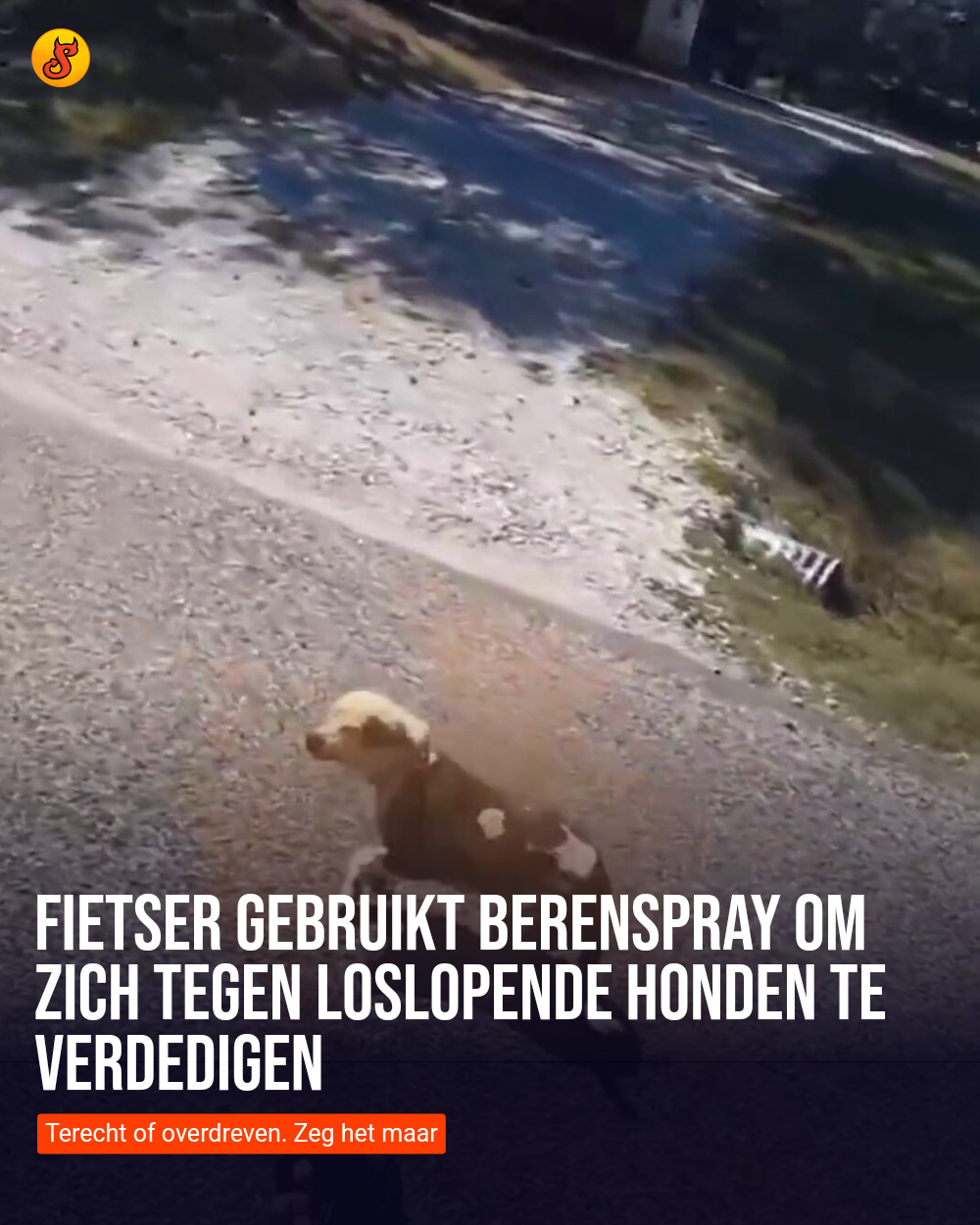 Fietser gebruikt berenspray om zich tegen loslopende honden te verdedigen