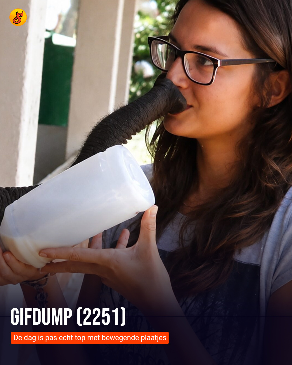 Gifdump (2251)
