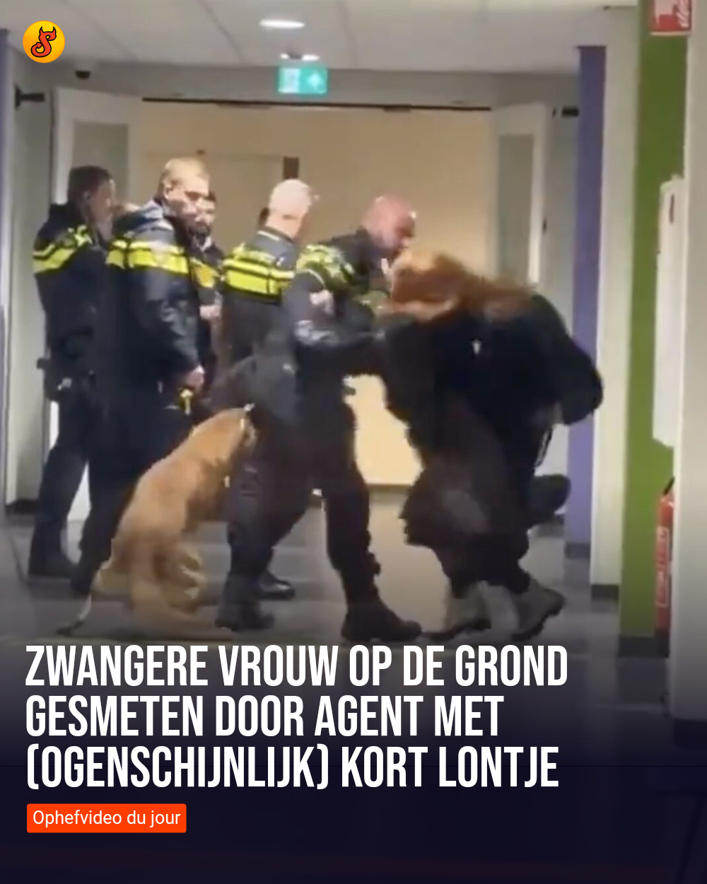 Zwangere vrouw op de grond gesmeten door agent met (ogenschijnlijk) kort lontje