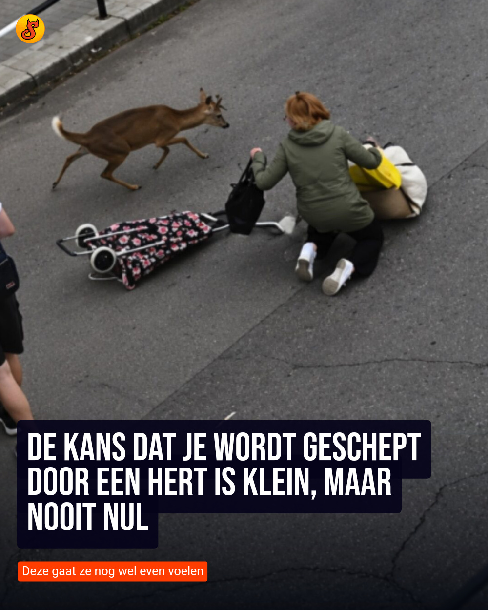 De kans dat je wordt geschept door een hert is klein, maar nooit nul