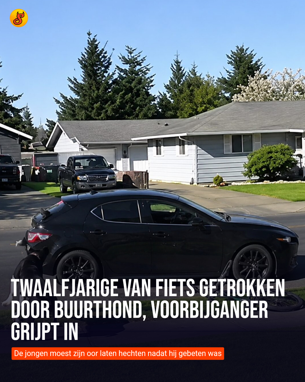 Twaalfjarige van fiets getrokken door buurthond, voorbijganger grijpt in