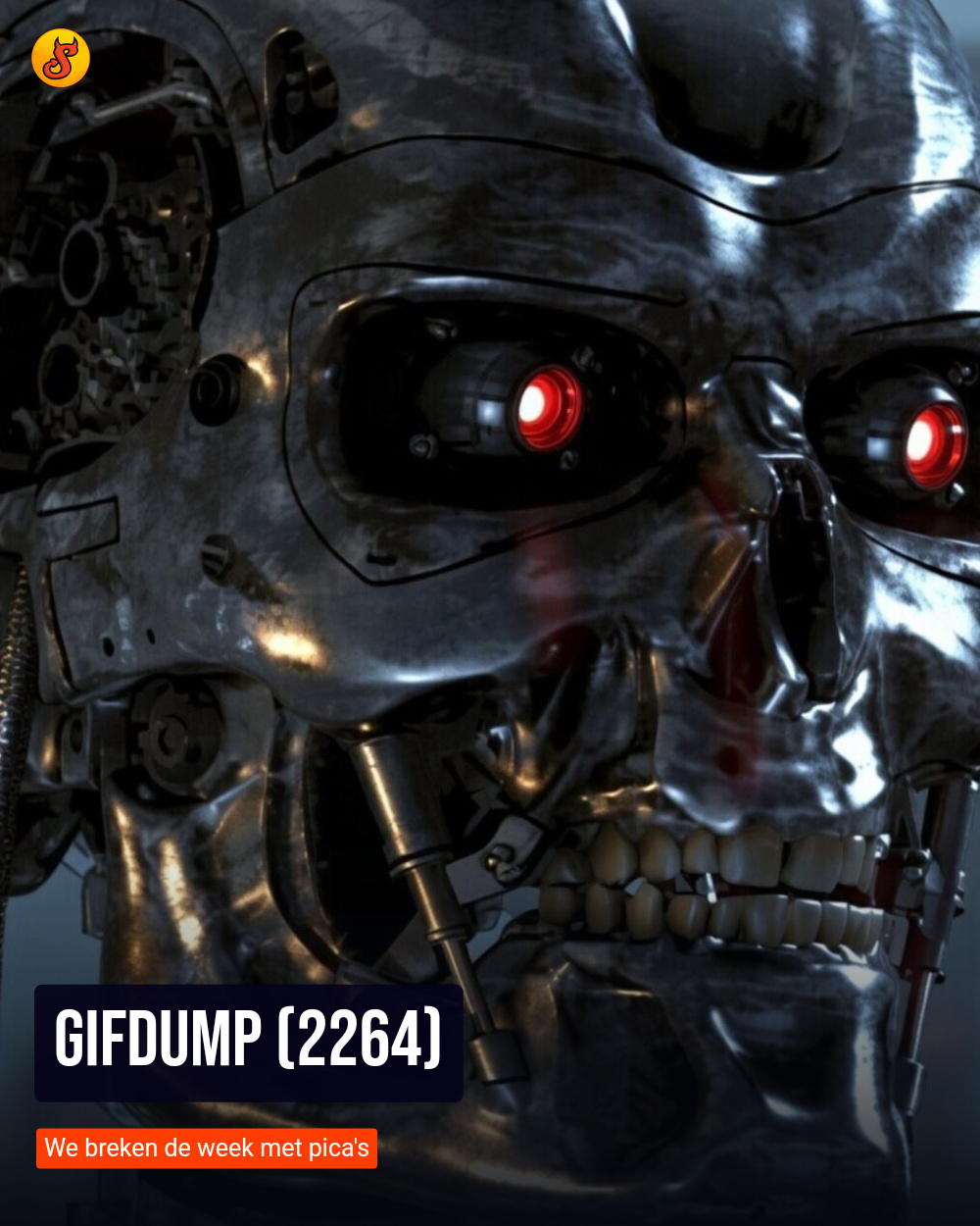 Gifdump (2264)