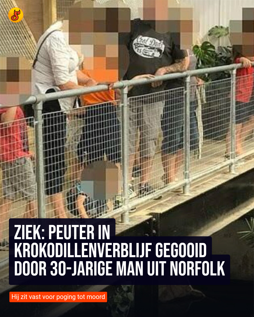 Ziek: Peuter in krokodillenverblijf gegooid door 30-jarige man uit Norfolk