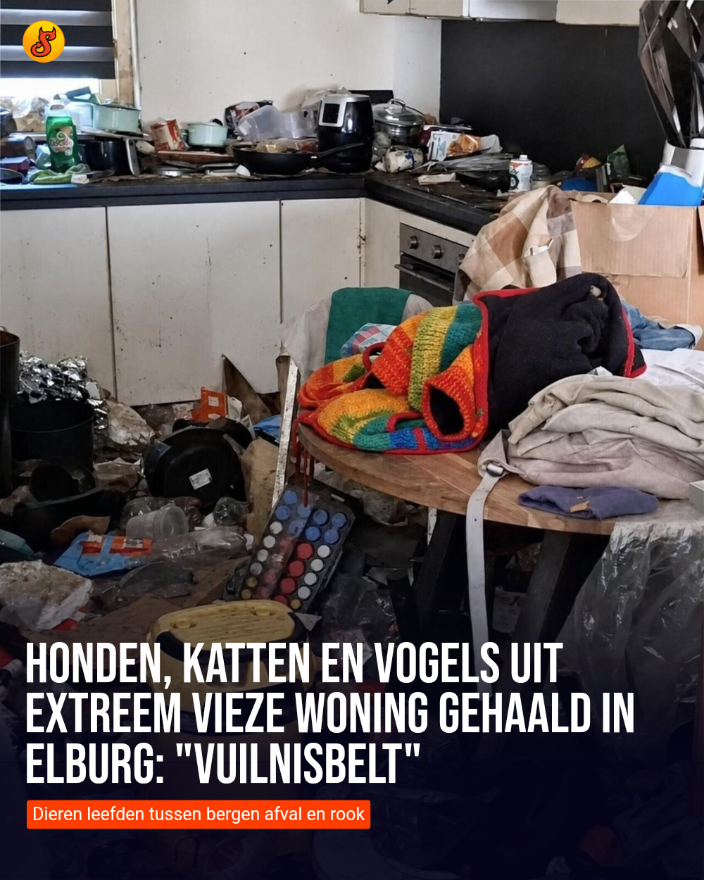 Honden, katten en vogels uit extreem vieze woning gehaald in Elburg: "vuilnisbelt"
