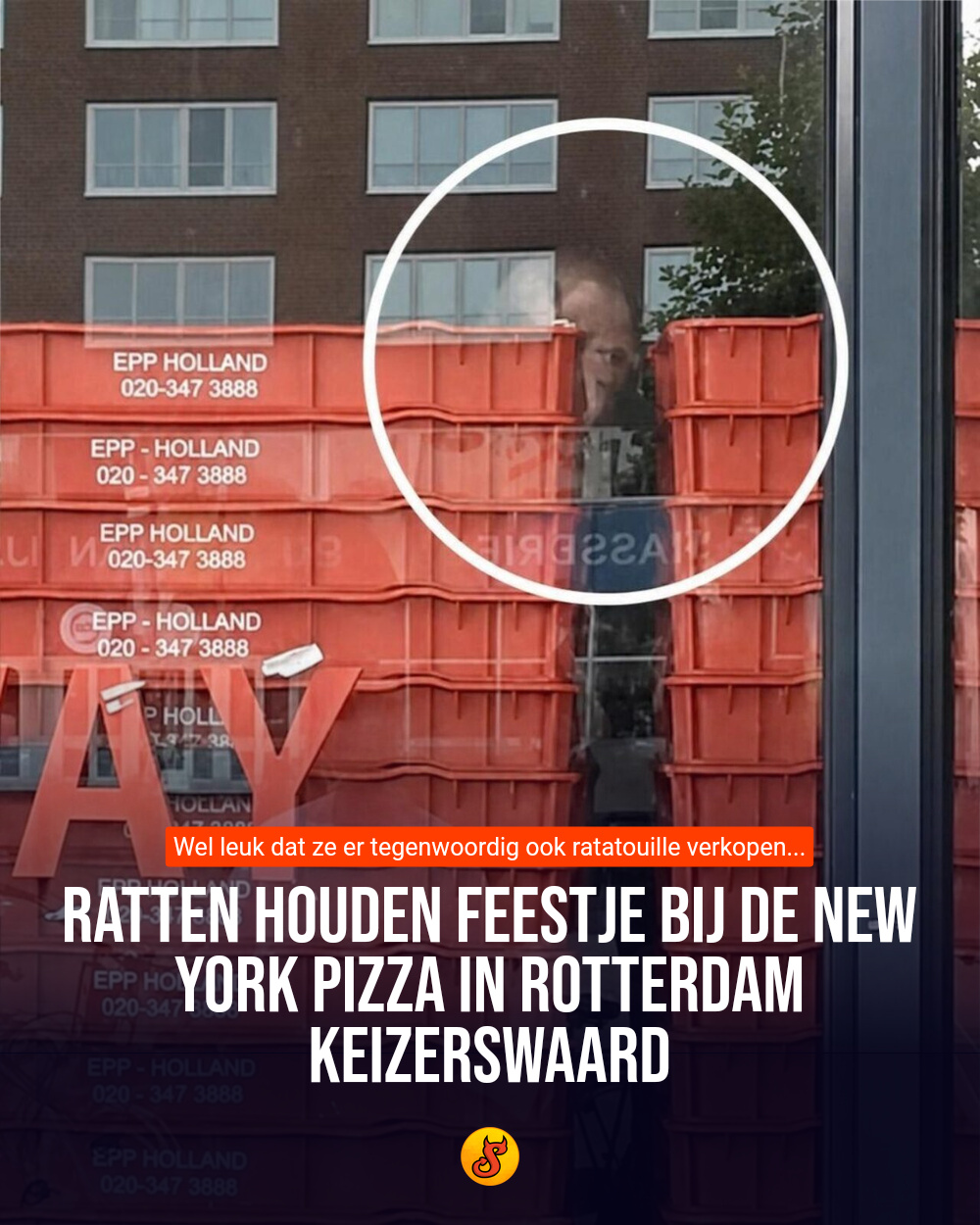 Ratten houden feestje bij de New York Pizza in Rotterdam Keizerswaard