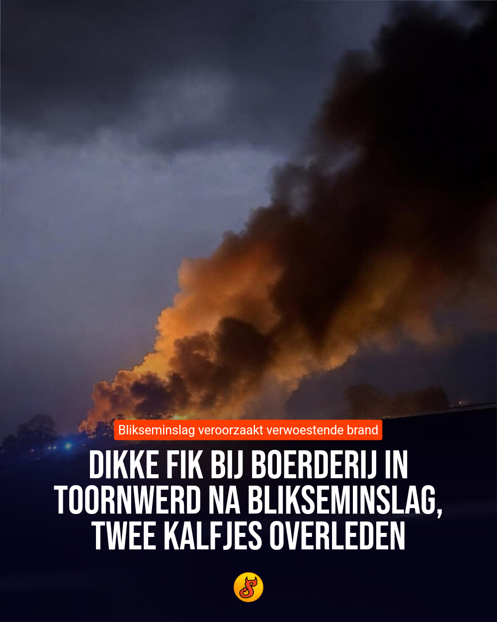 Dikke fik bij boerderij in Toornwerd na blikseminslag, twee kalfjes overleden