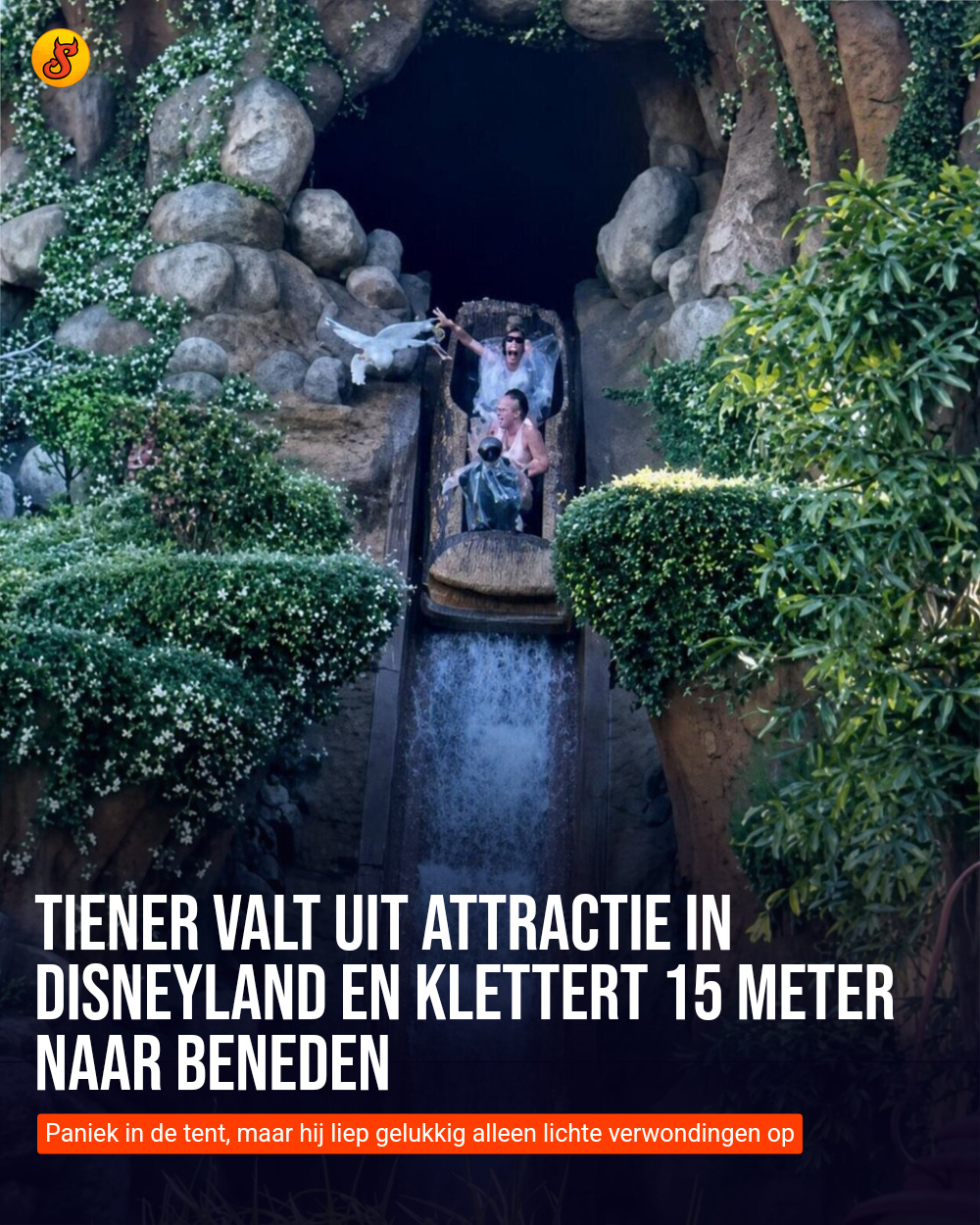 Tiener valt uit attractie in Disneyland en klettert 15 meter naar beneden