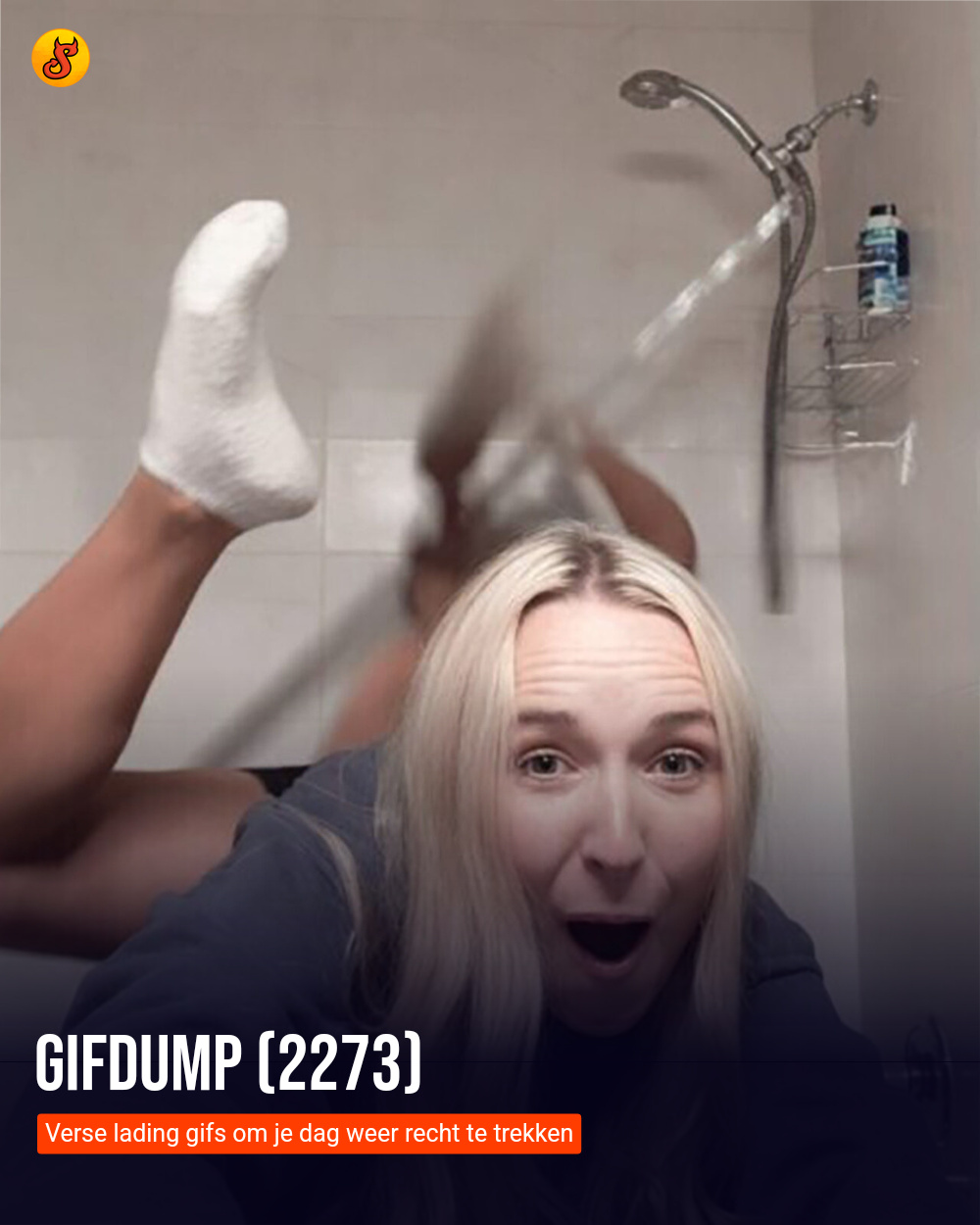 Gifdump (2273)