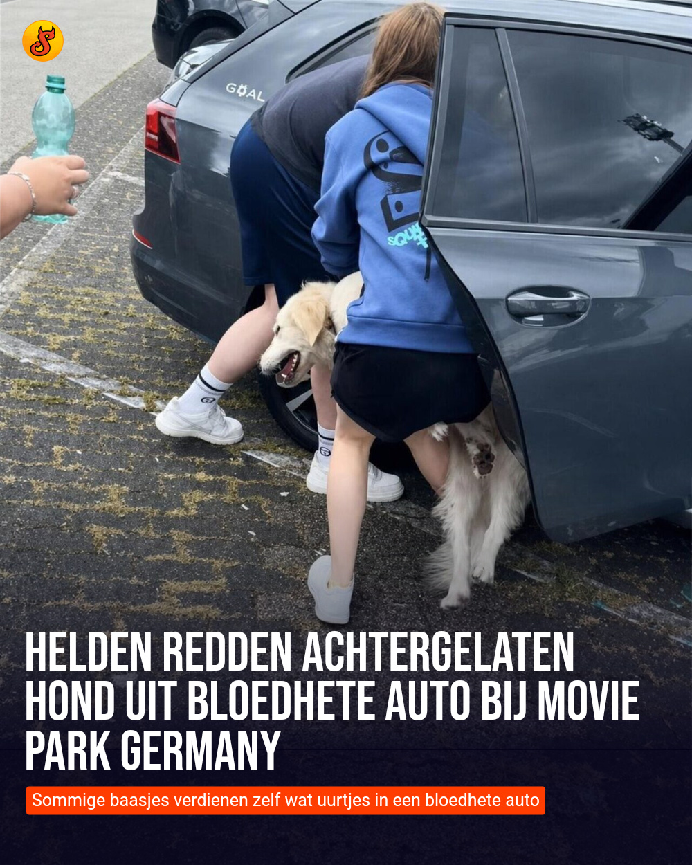 Helden redden achtergelaten hond uit bloedhete auto bij Movie Park Germany
