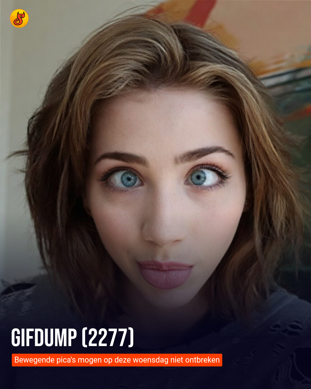 Gifdump (2277)