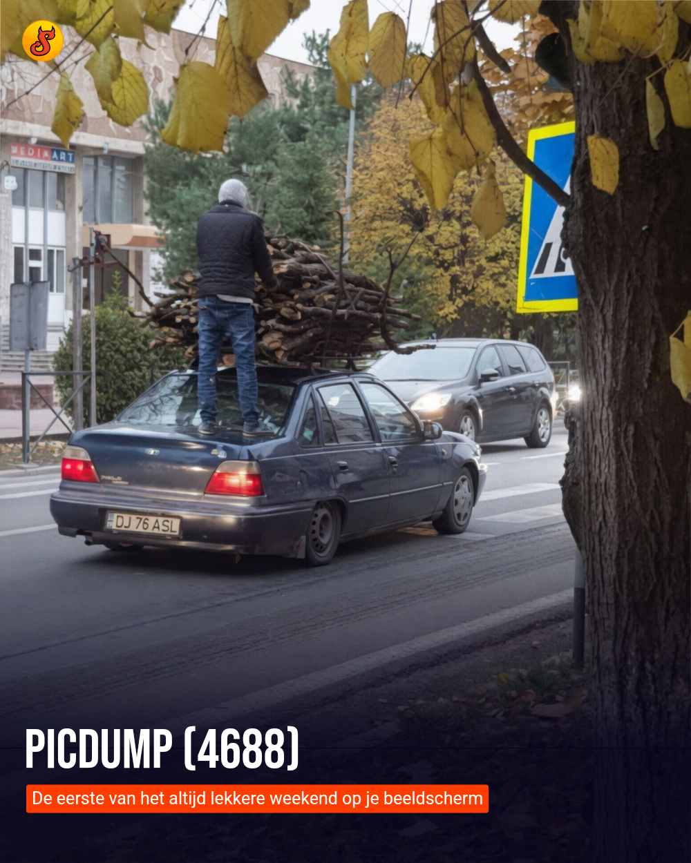 Picdump (4688)