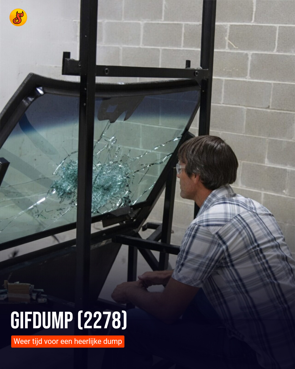 Gifdump (2278)